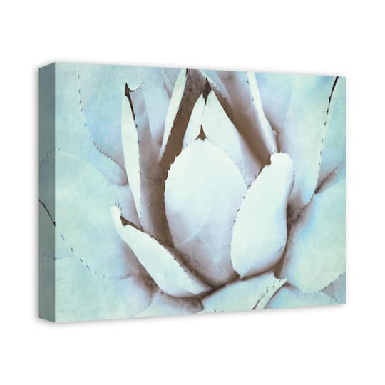 Green Succulent 20" x 16" Canvas Wall Art